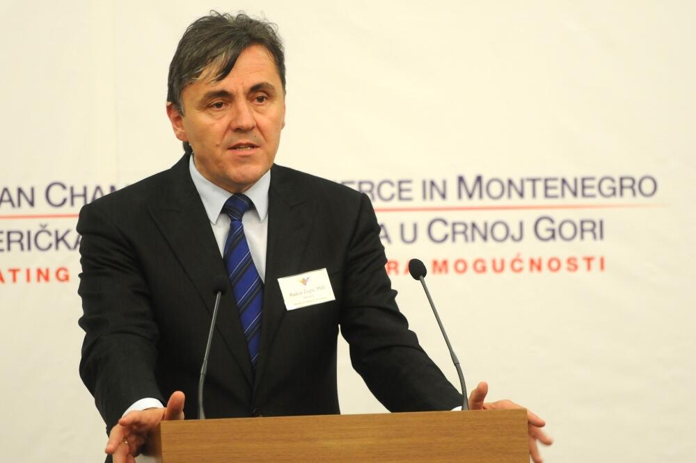 Radoje Žugić, Foto: Boris Pejović