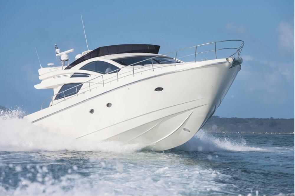 Gliser, Foto: Shutterstock