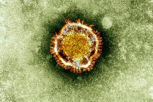 Francuska: Prva žrtva novog virusa