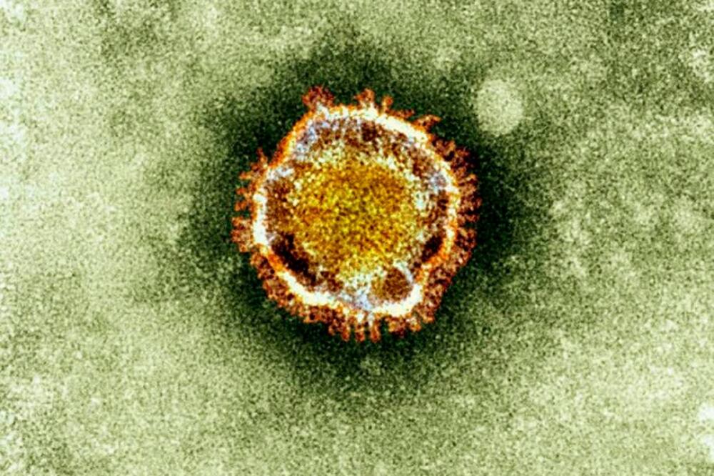 Novel coronavirus, Foto: Beta/AP