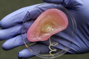 Naučnici dizajnirali super uvo