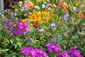 Upao u tuđu kuću, oprao svoj veš i zalio baštu
