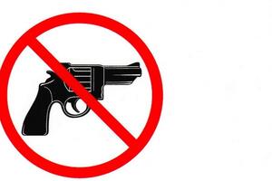 Grčkim poslanicima zabranjeno unošenje oružja u Skupštinu