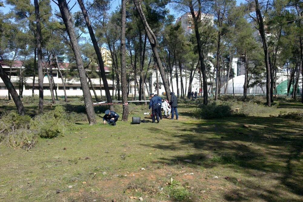 Samoubistvo Tološka šuma, Foto: Vlado Otašević