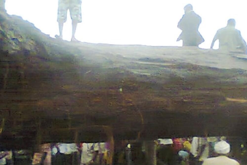 Nigerija, drvo, Foto: Nationalmirroronline.net