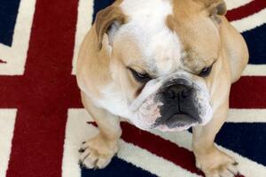 Najbizarniji zahtjevi britanskim konzulatima širom svijeta