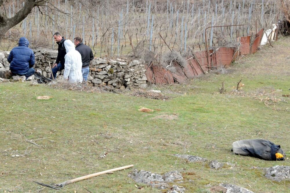 Kokoti, livada, nesreća, Foto: Zoran Đurić