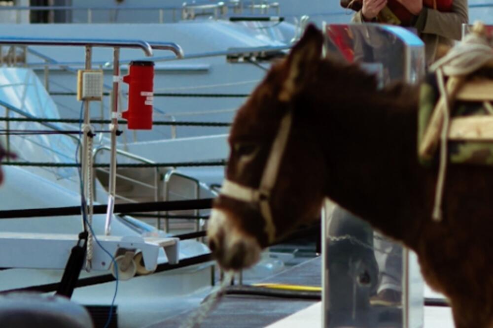 Rambo Amadeus, Eurosong, Foto: Mihael Miko Đuričić