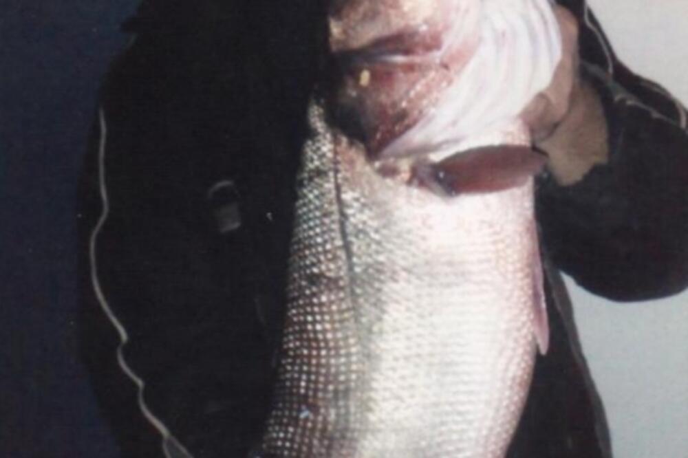 Dejan Medved, Foto: Una