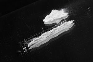 Italijanska policija zaplijenila 190 kg kokaina
