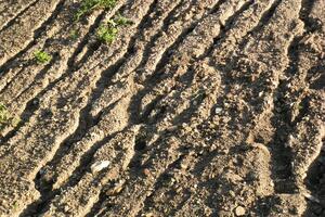 Naučnici otkrili kako je zemlja mirisala prije dvije milijarde...