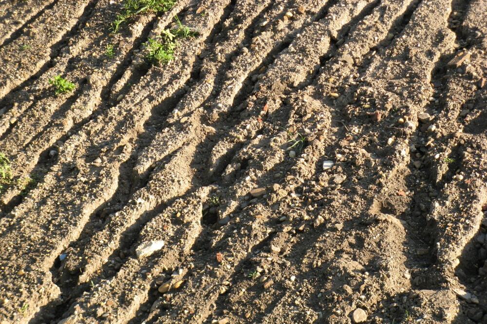 zemlja, Foto: Texturez.com