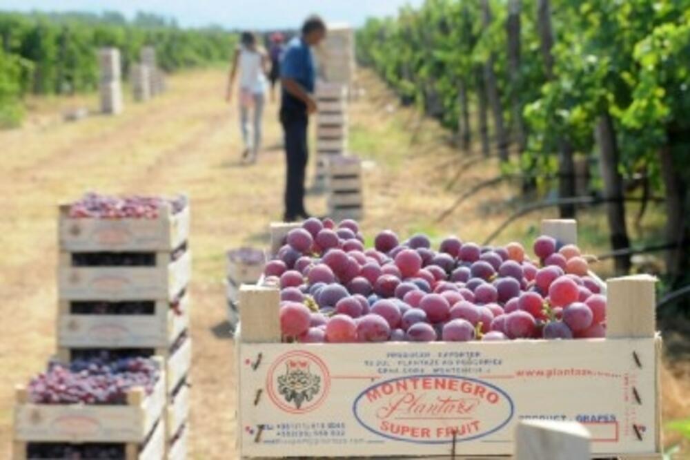 izvjestajiii_1, Foto: L.ZEKOVIĆ