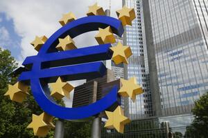 The ECB reduced the interest rate to a record 0,5 percent
