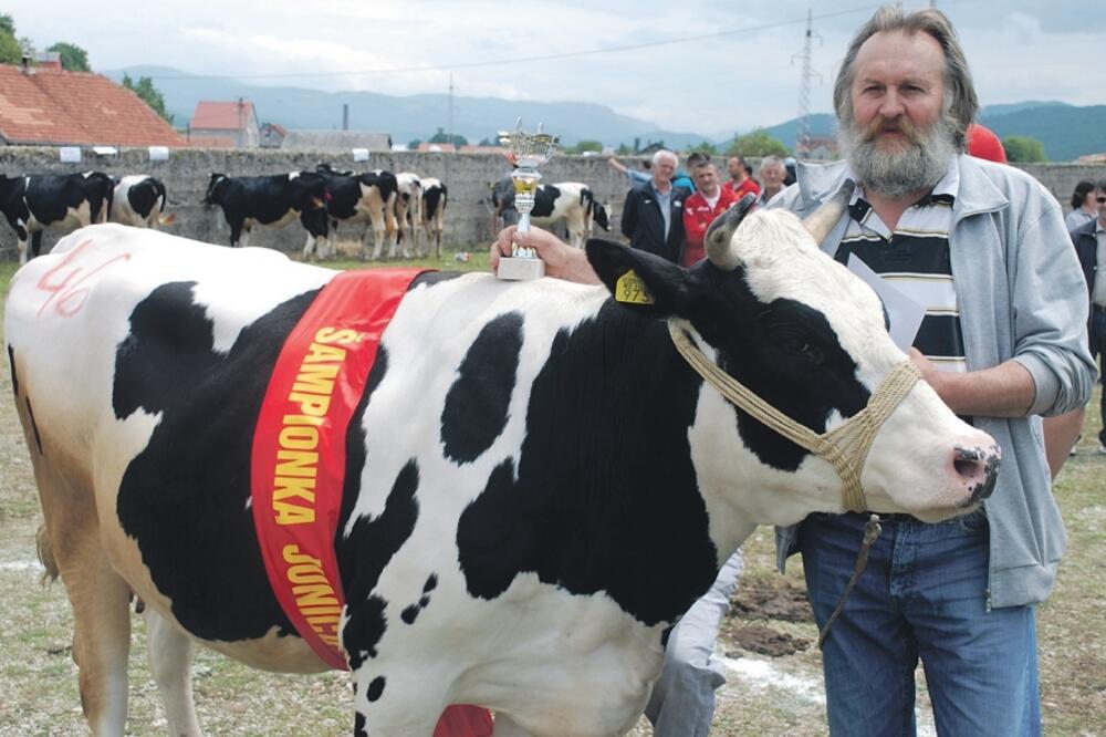 Ratko Živković, Foto: Ivan Petrušić