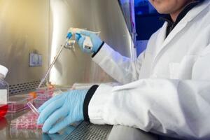 Danski naučnici blizu lijeku za HIV