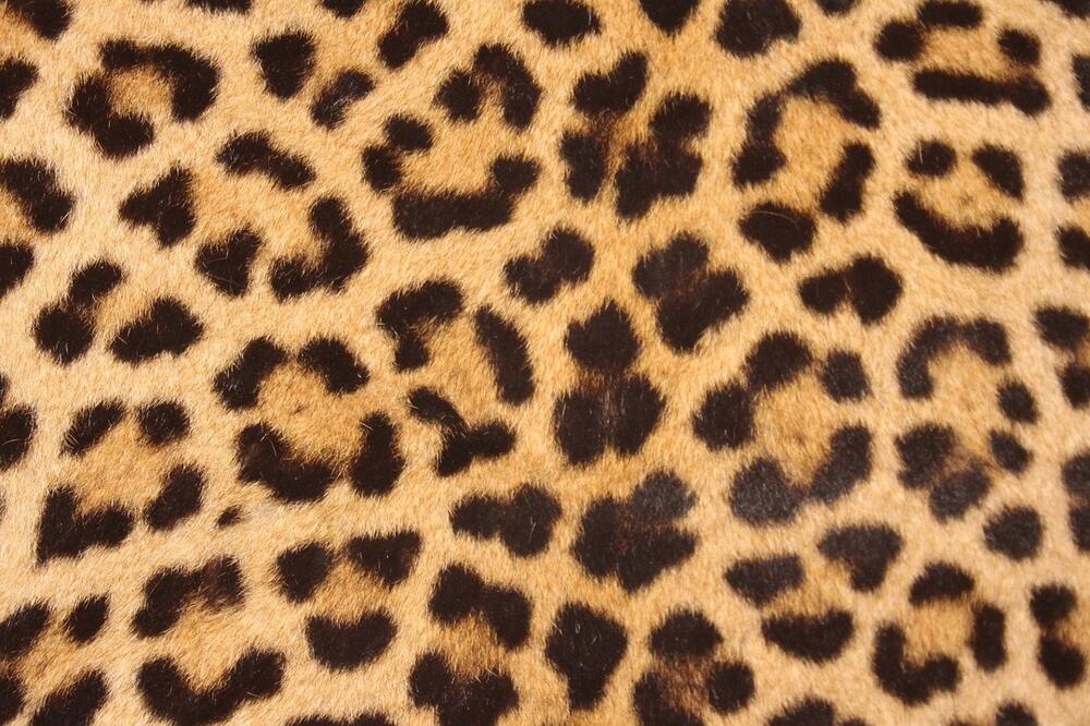 Ilustracija, Foto: Pixabay