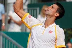 Pao i Nieminen, Đoković u polufinalu