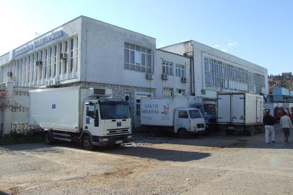 mljekara, Foto: Arhiva "Vijesti"