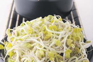 Klice: Bogatstvo vitamina, bjelančevina i  enzima