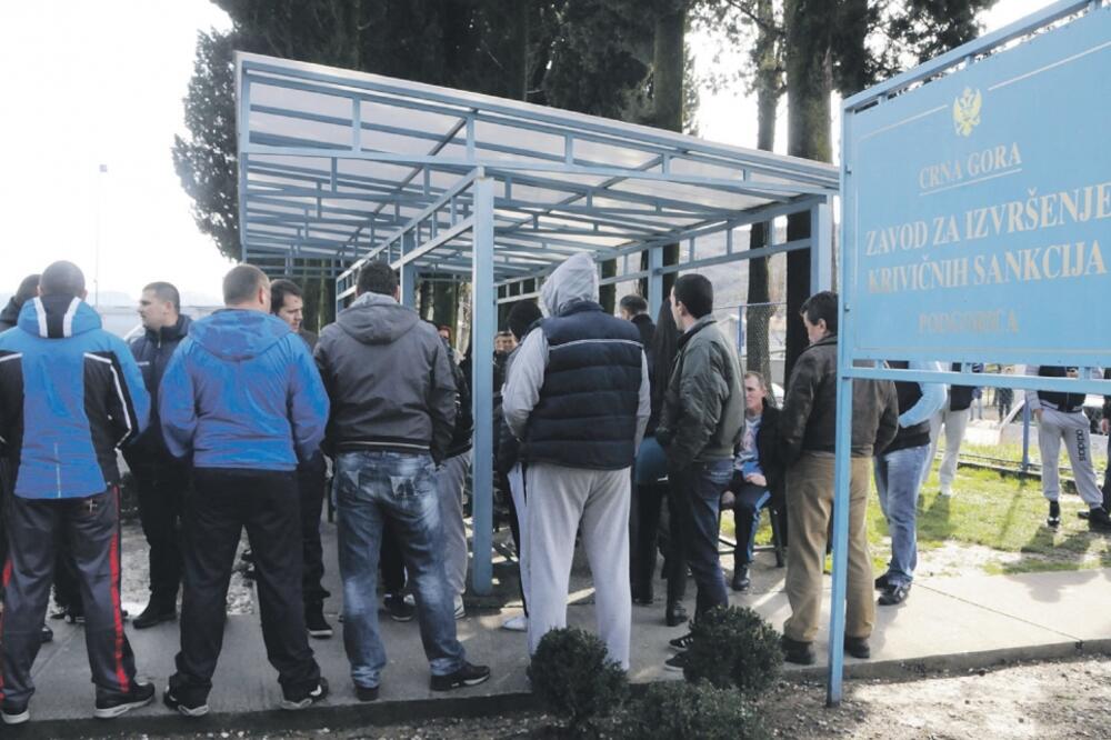 ZIKS, Foto: Luka Zeković