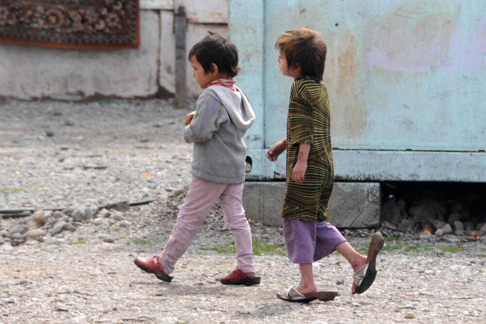 Vrela ribnička, djeca