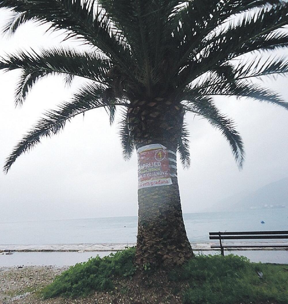 Predizborni plakat Filipa Vujanovića u Tivtu