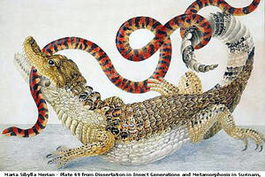 Google stranicu posvetio Mariji Sibili Merijan