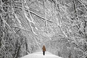 Snijeg u centralnoj Evropi, u Varšavi 80.000 domaćinstava bez...