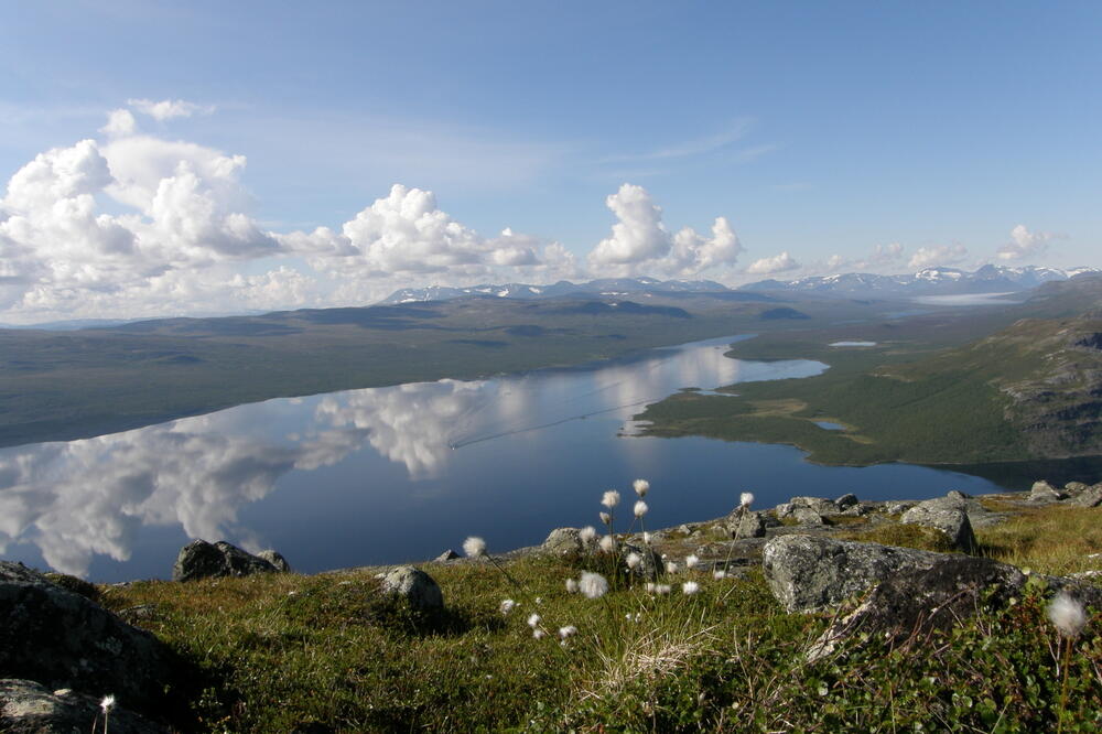 Arktik, Foto: Shutterstock