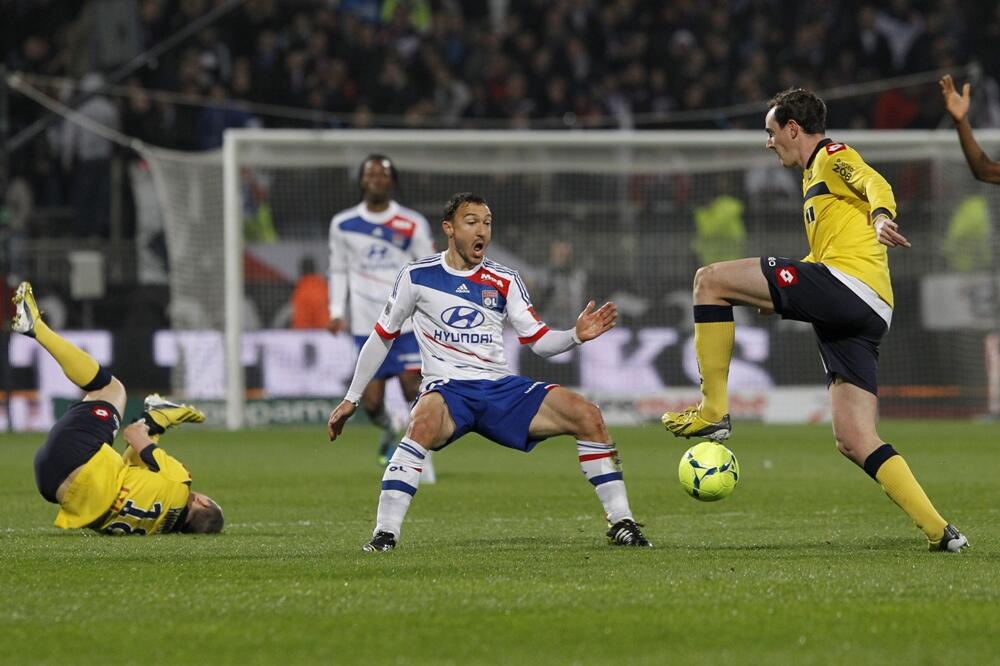 Lion - Sošo, Foto: Beta AP