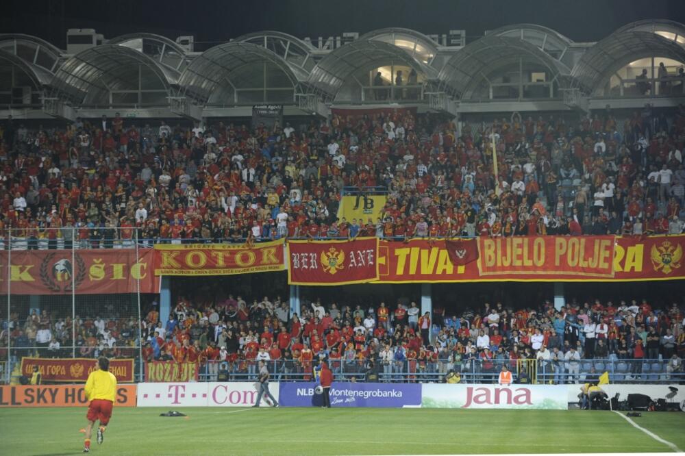 Crna Gora, Engleska, navijači, Foto: Savo Prelević