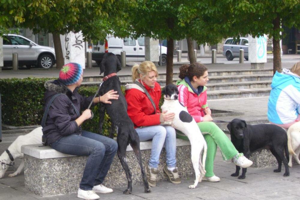 Azil, Podgorica, šetnja pasa, Foto: Facebook/Ruka-šapi