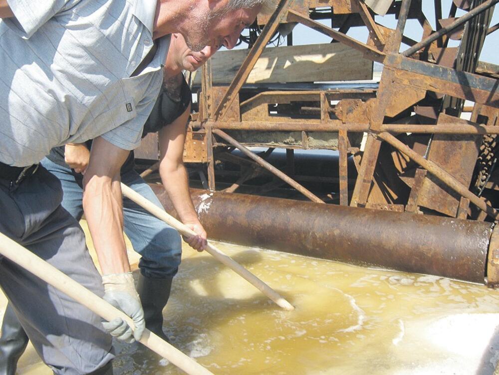 Solana, Solana Bajo Sekulić