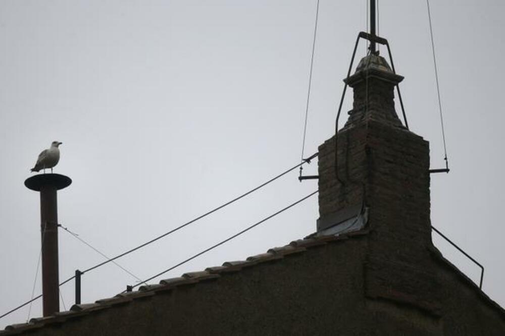 galeb Sikstinska kapela, Foto: Beta/AP