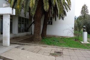 Bar: Maturanti koji su učestvovali u tuči ne idu u pritvor