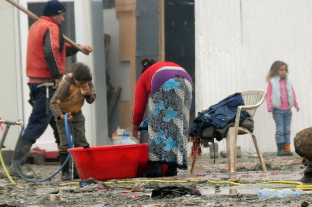 Vrela ribnička, Konik, Foto: Luka Zeković