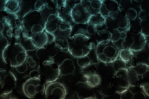 Za nauku više iz drugih izvora nego iz državnog budžeta