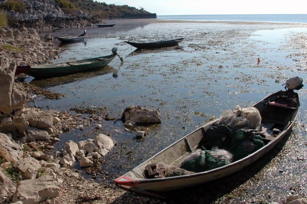 Skadarsko jezero, Foto: Anto Baković