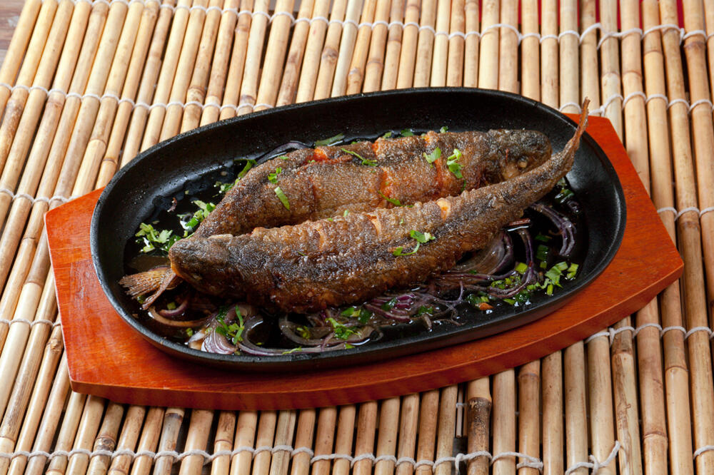 pastrmka, Foto: Shutterstock.com