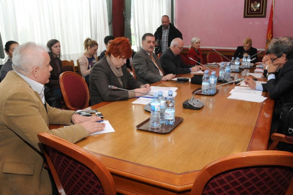 Odbor za zdravstvo, Foto: Luka Zeković