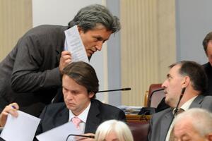 Pavlović: Škerovići bliski DPS-u, Konjević da istraje ili se povuče