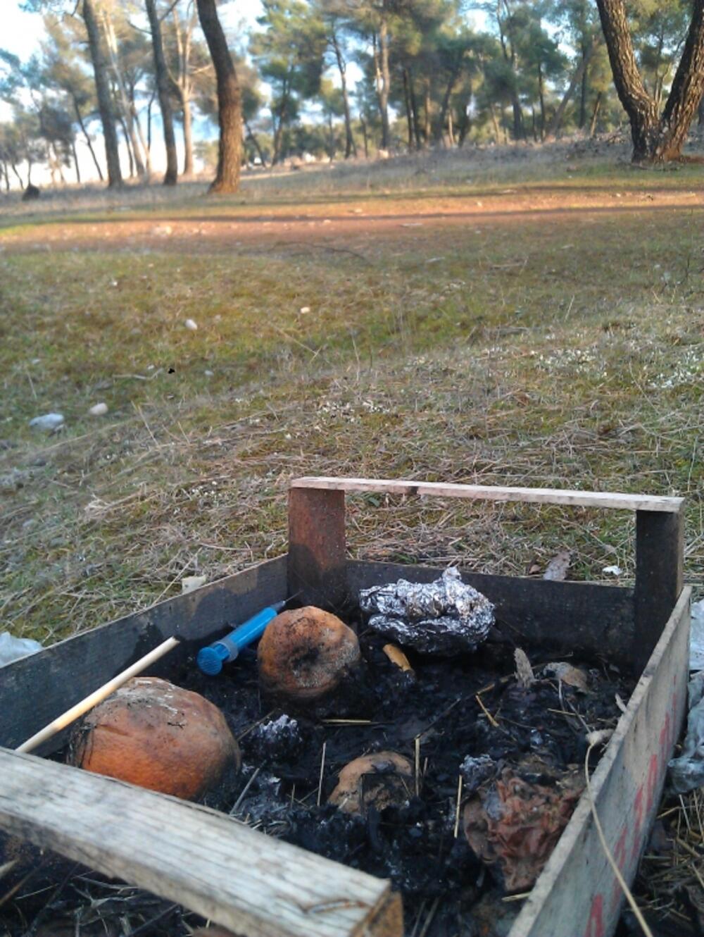 Ćemovsko polje, smeće, Podgorica