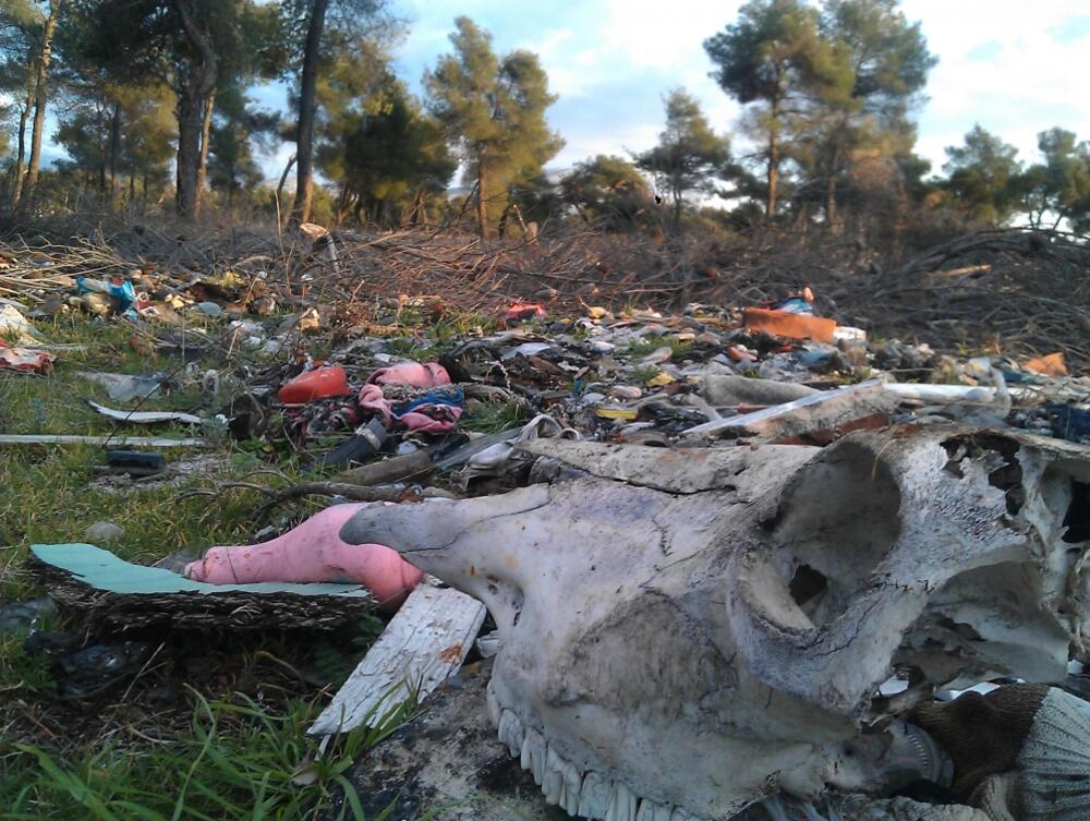 Ćemovsko polje, smeće, Podgorica