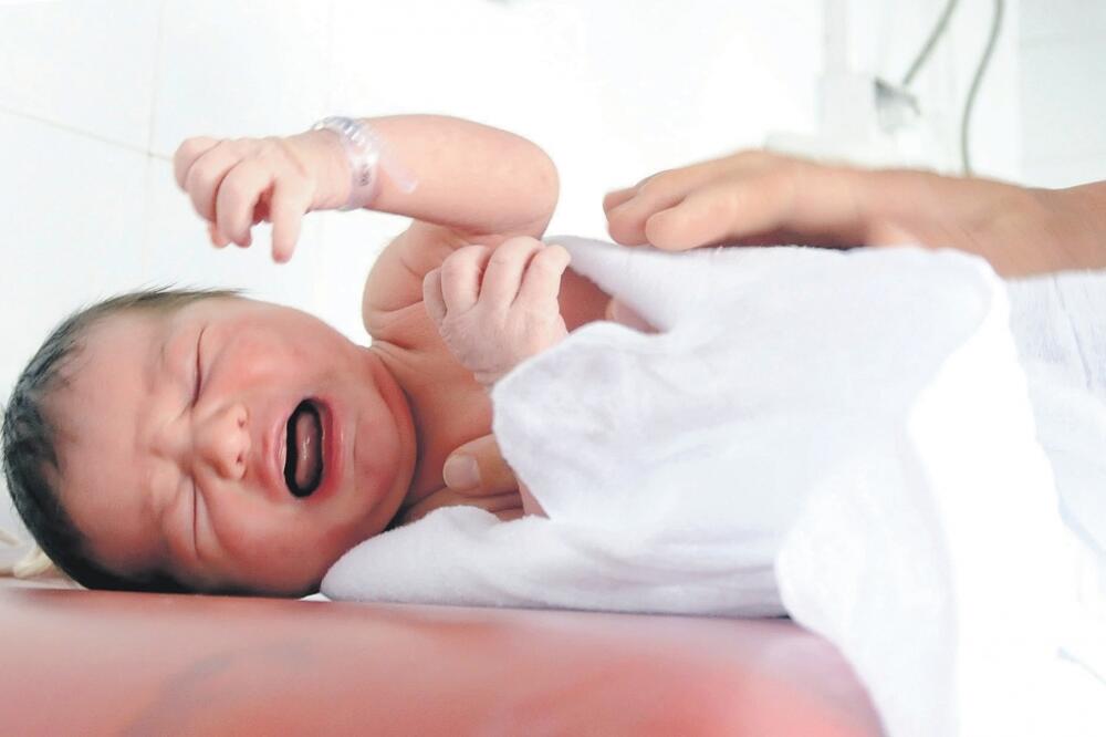 beba, novorođenče, Foto: Boris Pejović
