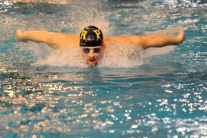 Plivanju trebaju masovnost i bazeni