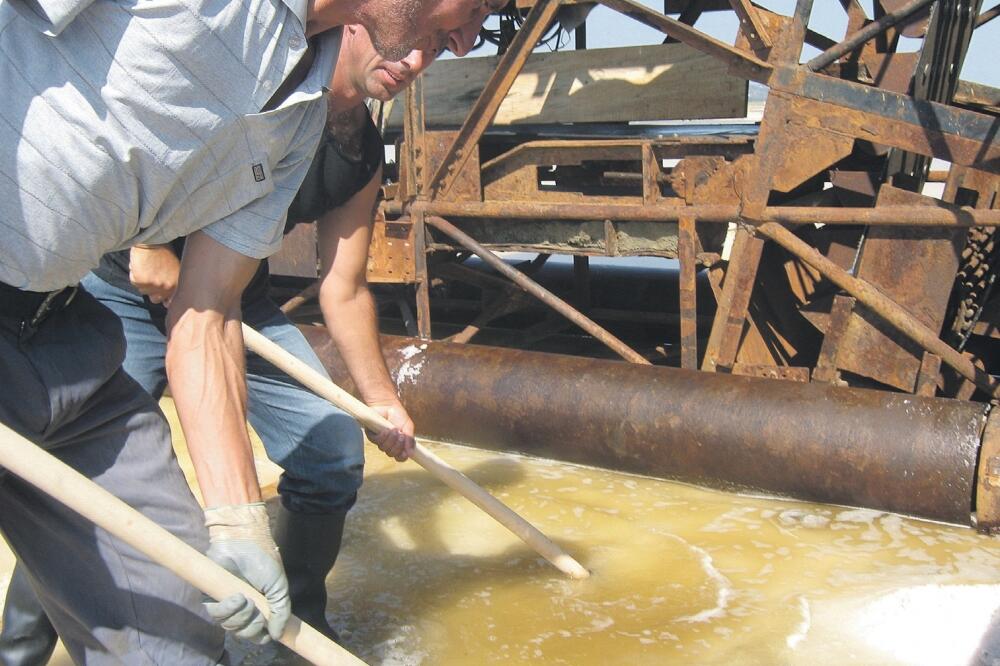 Solana, Solana Bajo Sekulić, Foto: Samir Adrović