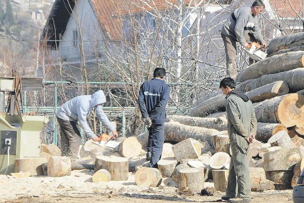 Zlatica, stovarište, Foto: Zoran Đurić