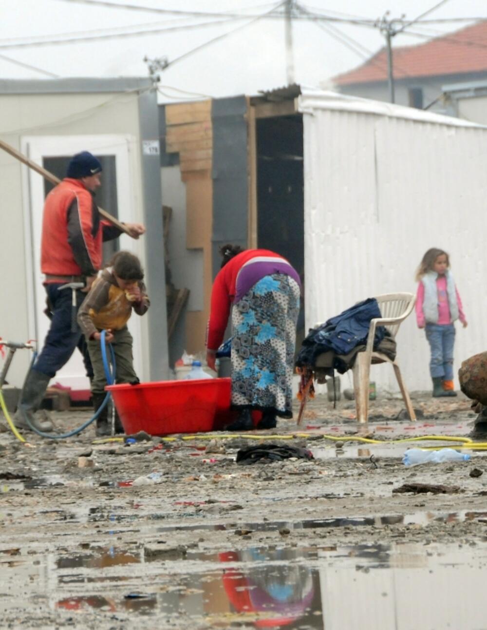 Vrela ribnička, Konik