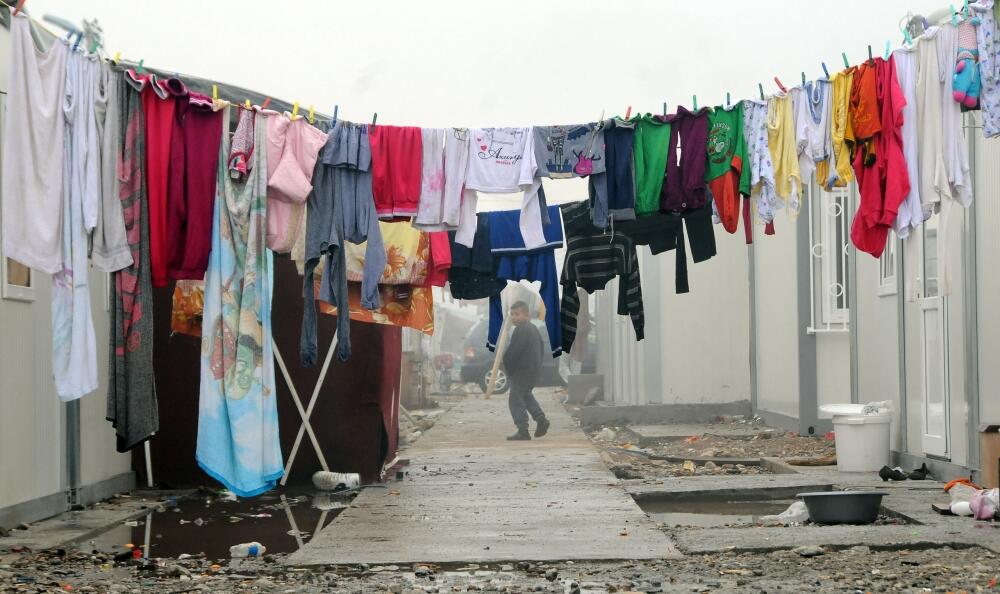 Vrela ribnička, Konik